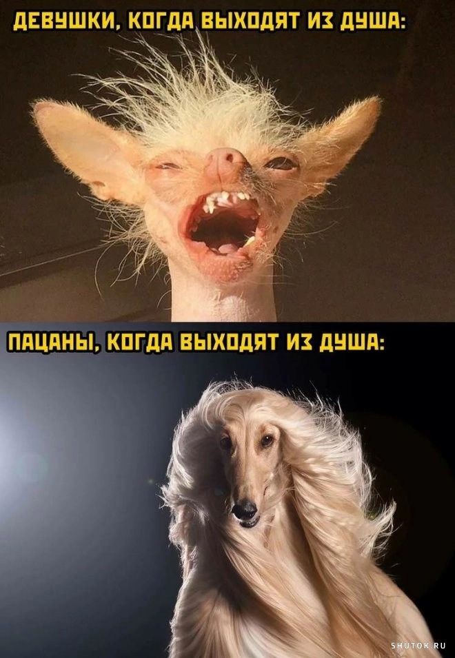 ПЕЕНШКИ КПГдП ВЫХПдПТ И ЛНШП ППЦПНЫ КПГдд ВЫХПДПТ И ПНШП