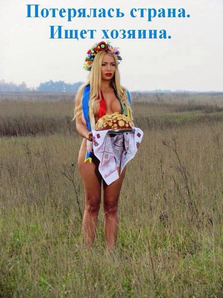 Потерялась страна Пщет хозяина