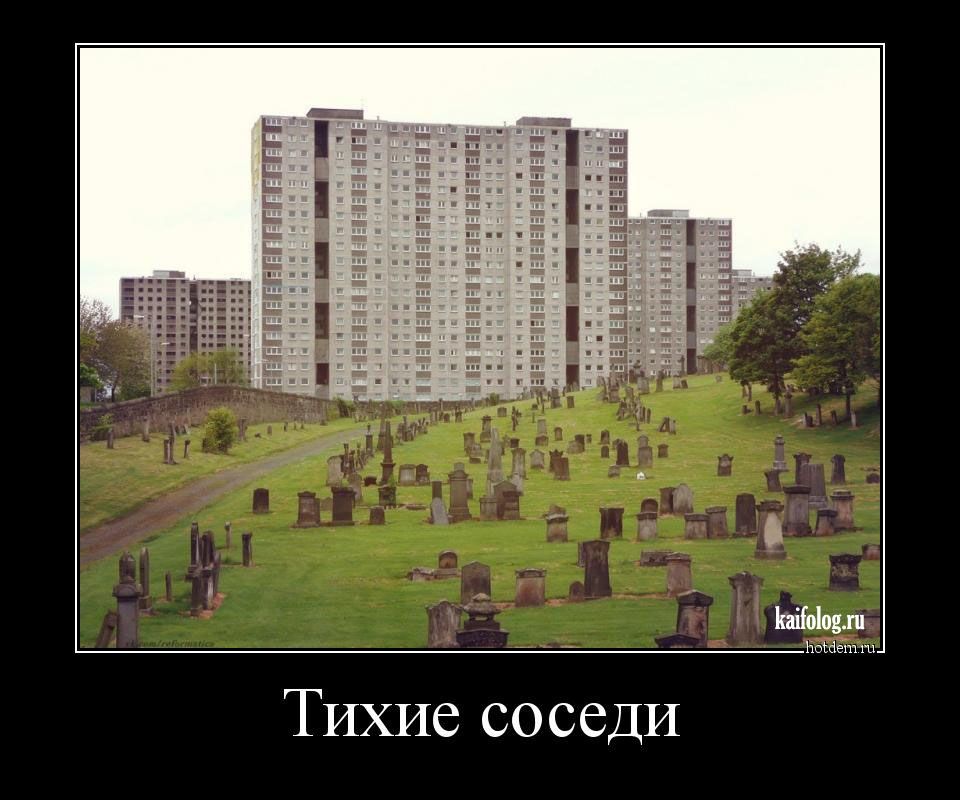 Тихие соседи