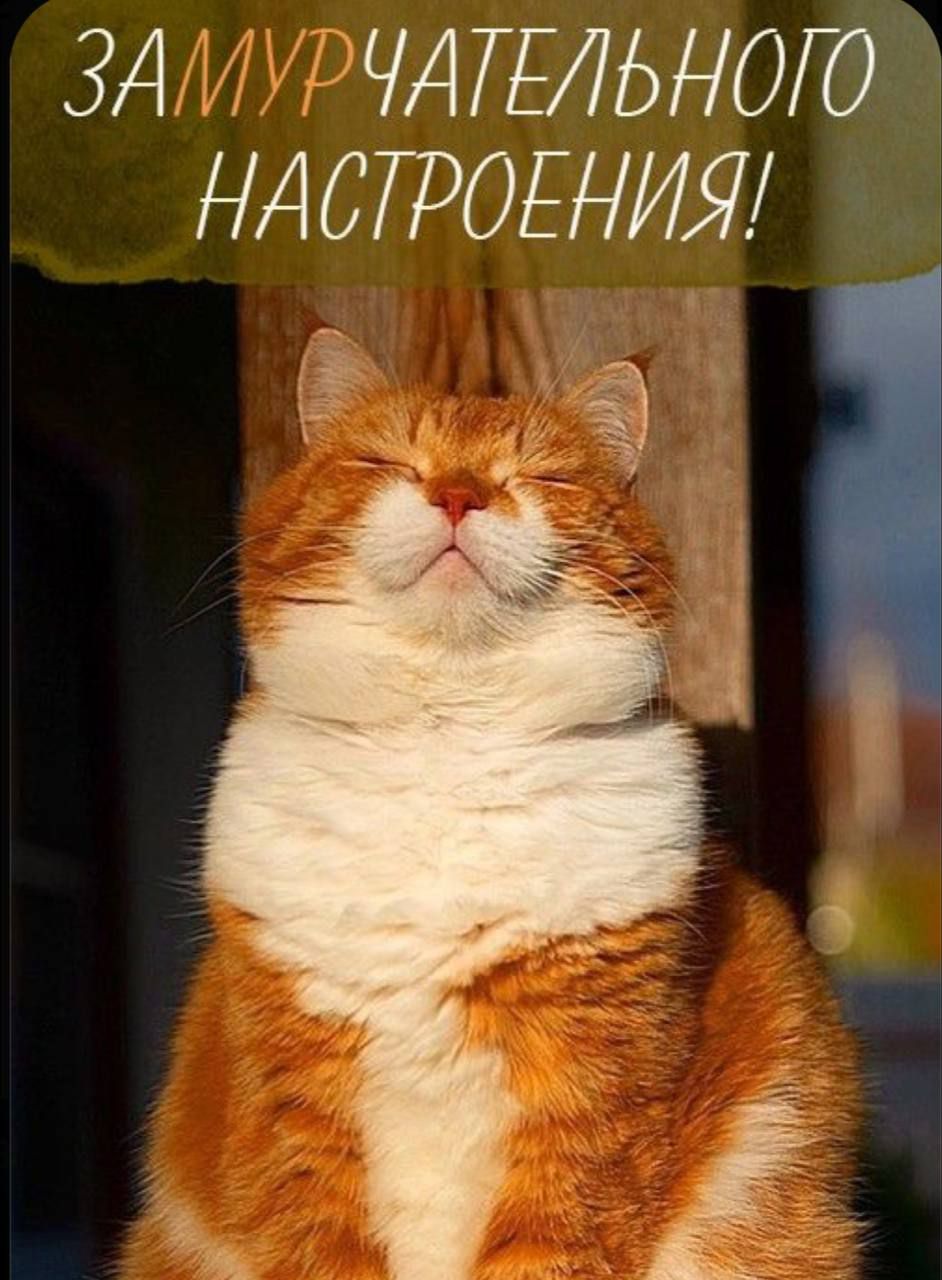ЗАМУРЧАТЕЛЬНОГО НАСПЭОЕНИЯ _ д61