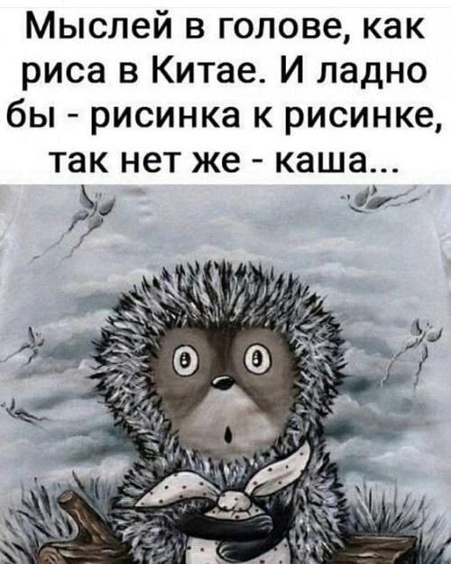 Мыслей в голове как риса в Китае И ладно бы рисинка к рисинке так нет же каша