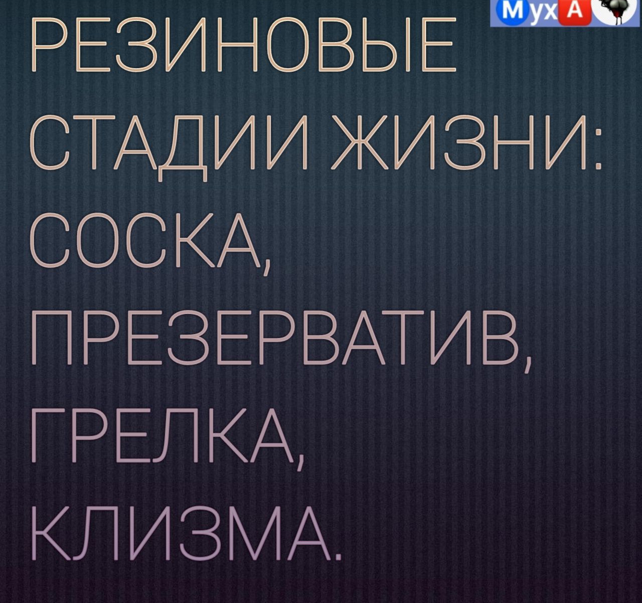 кзиновыэ _ СТАДИИ ЖИЗНИ СОСКА ПРЕЗ ЕРВАТИВ ГРЕЛКА КПИЗМА