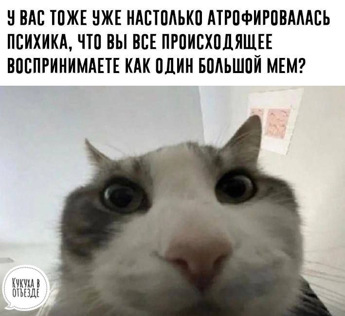 НБМ ТПЖЕ НЖЕ НАВТМЪКП АТРПФИРПВЛМСЬ ПСИХИКА ЧТП ВЫ НЕЕ ПРПИЕХПДЯШЕЕ ВПСПРИИИМАЕТЕ КАК ЦДИ БПАЬШПЙ МЕМ Ук шыш гг