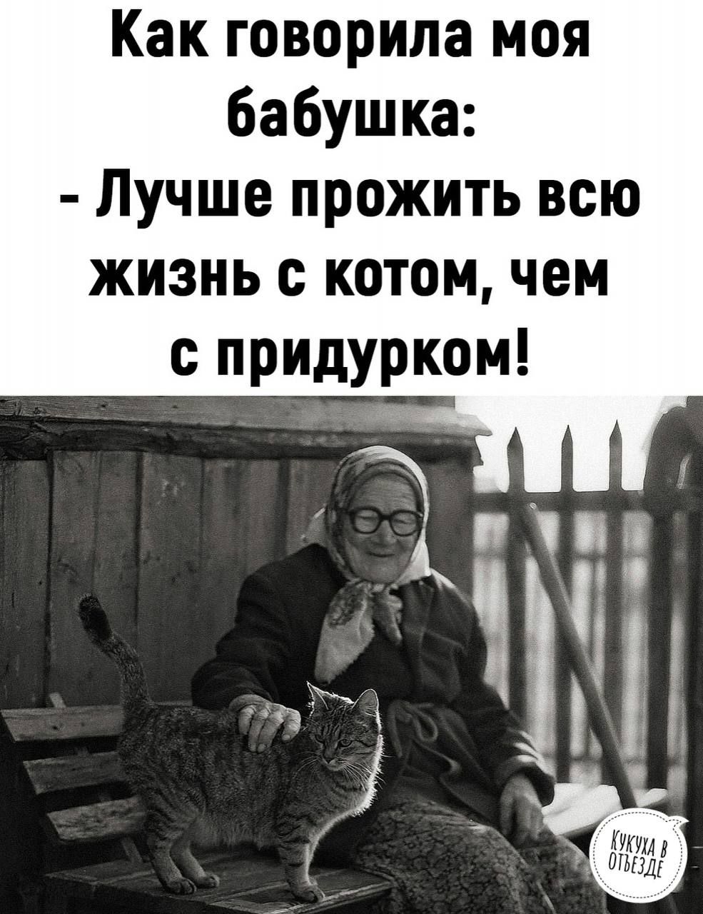 Как говорила моя бабушка Лучше прожить всю жизнь с котом чем придурком _ чп
