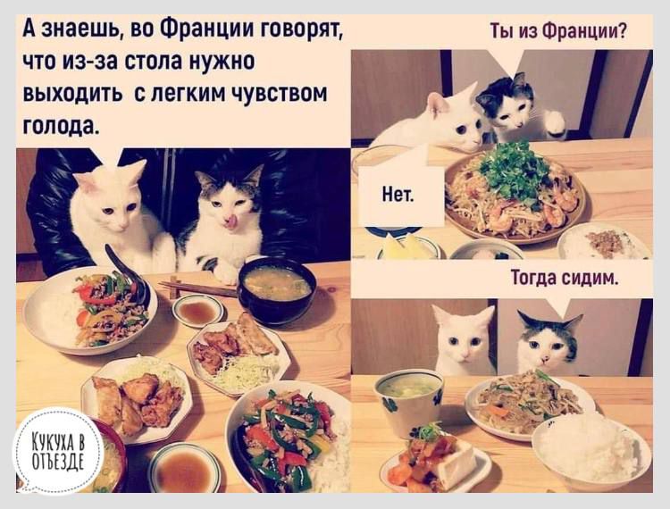 А знаешь вп Фраиции гпвприт ты из Фракцип что из за шла ужип выходить с легким чувствам голода у тогдв видим 131 ъ е_ ъпш