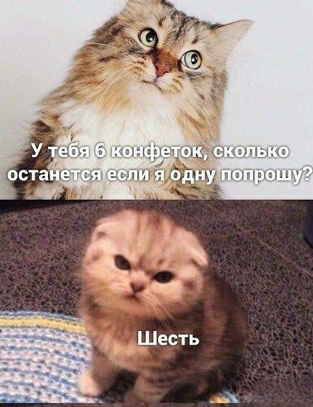 63ным цмпщэшпщЭ