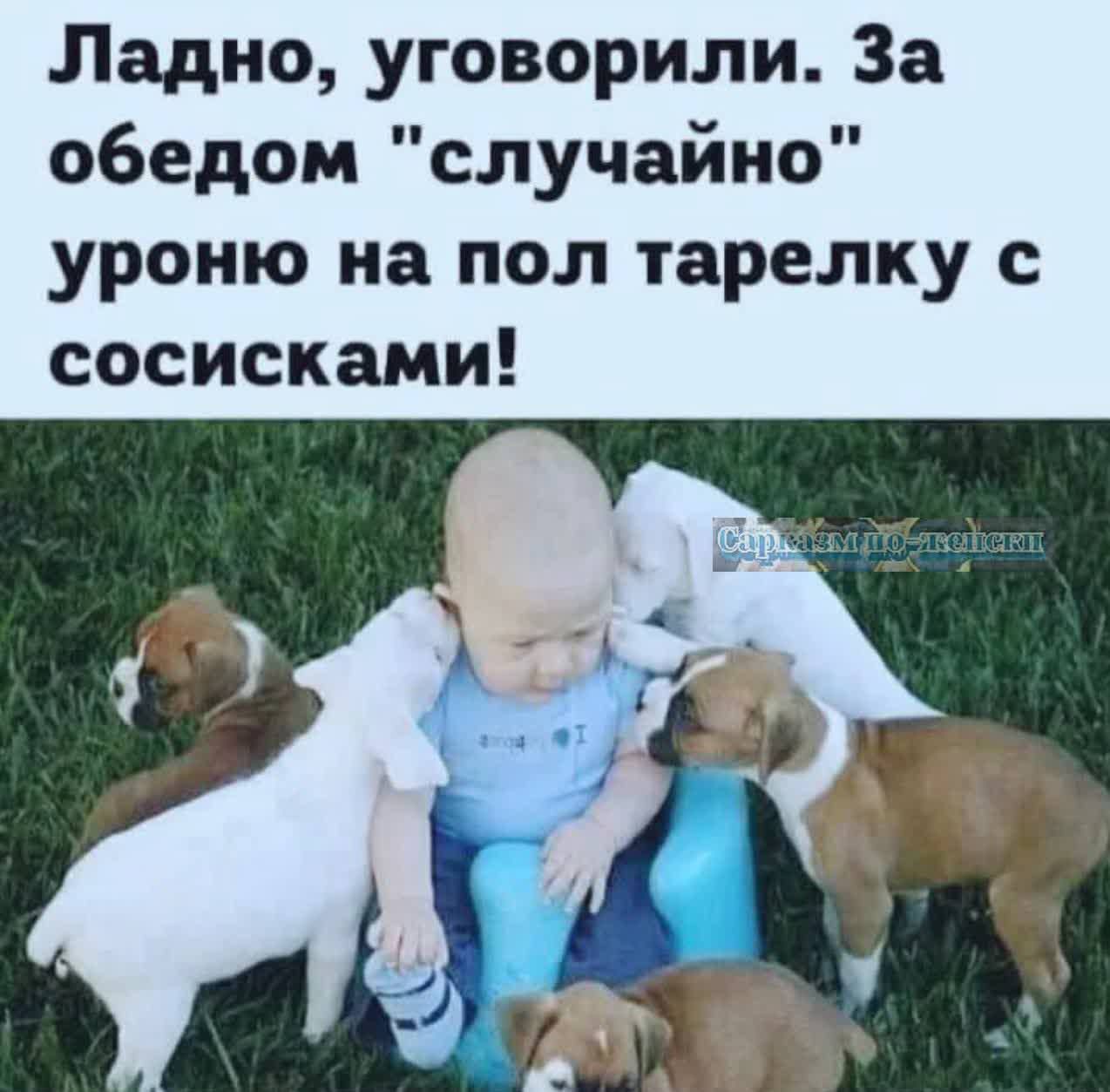 Ладно уговорили За обедом случайно уроню на пол тарелку с сосисками