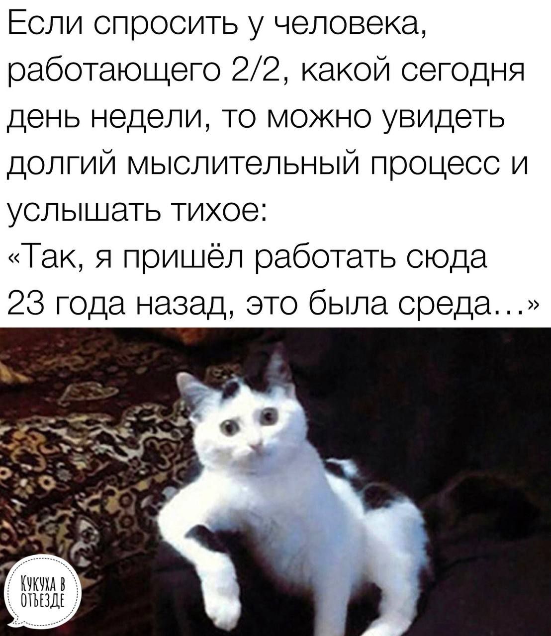Если спросить у человека работающего 22 какой сегодня день недели то можно увидеть долгий мыслительный процесс и УСЛЫШЗТЬ ТИХОЭЁ Так я пришёл работать сюда 23 года назад это была среда