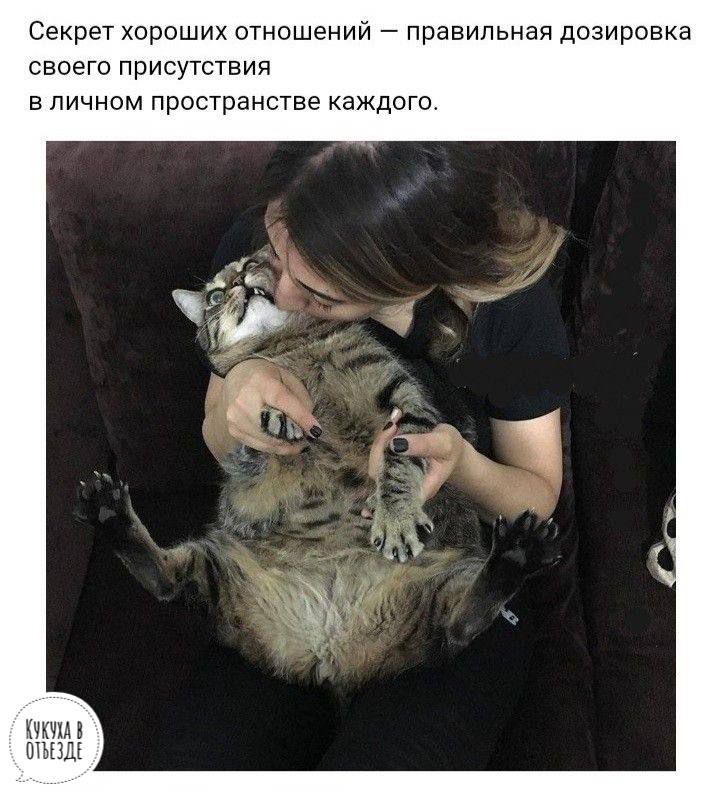 Секрет хороших отношений правильная дозировка своего присутствия в личном пространстве Каждого щ пшл