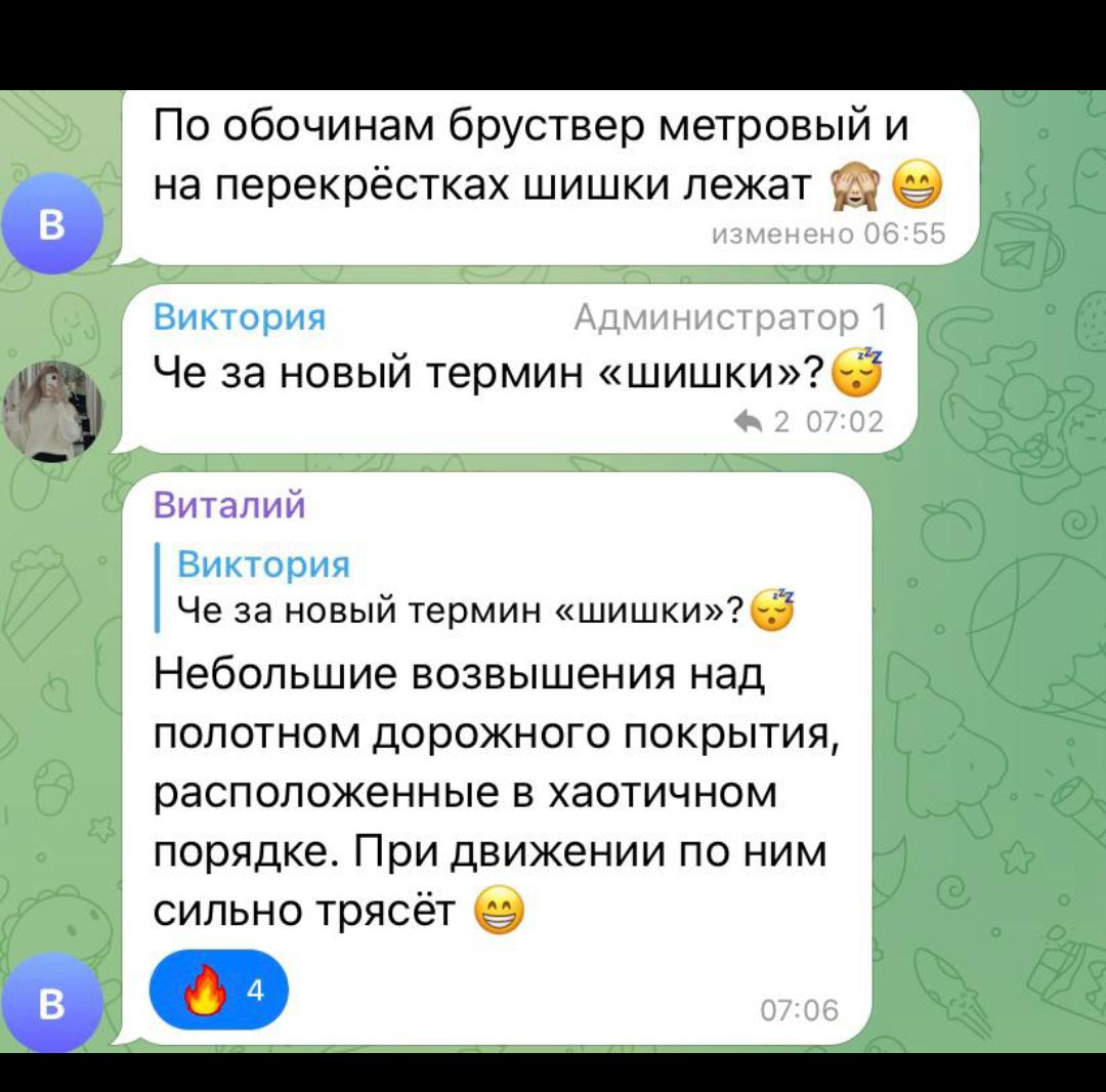 По обочинам бруствер метровый и на перекрестках шишки лежат Че за новый термин шишки Че за новый термин шишки Небольшие возвышения над полотном дорожного покрытия расположенные в хаотичном порядке При движении по ним сильно трясет