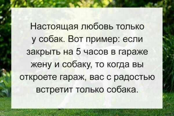 Настоящая любовь только у собак Вот пример если закрыть на 5 часов в гараже ЖЕНУ И собаку ТО КОГДВ ВЫ откроете гараж ВЭС С раДОСТЫО встретит ТОЛЬКО собака