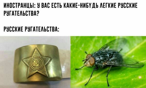 ИИПЩРАИЦЫ ШШ ЕПЬ КАКИЕ НИБУДЬ АЕГКИЕ РВЕВКИЕ РНГПЕАЪПВА РНБСКИЕ РШАТЕАЬБТВА