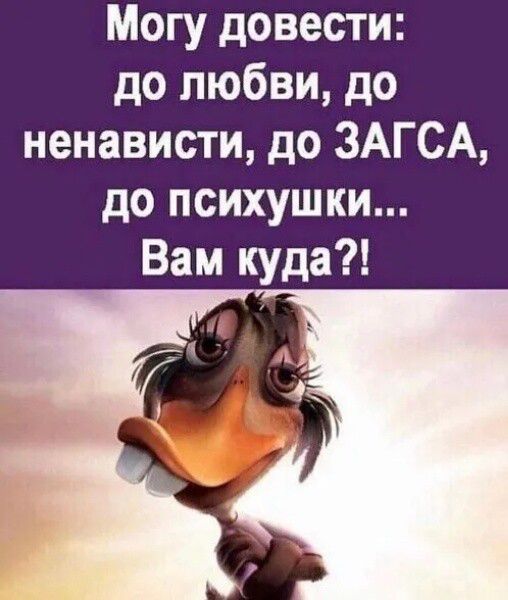 Могу довести до любви до ненависти до ЗАГСА до психушки Вам куда