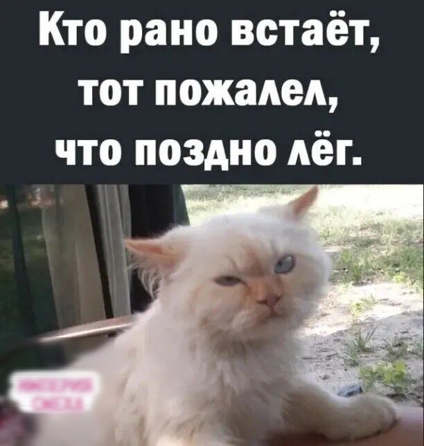 Кто рано встаёт тот пожалел что поздно лёг