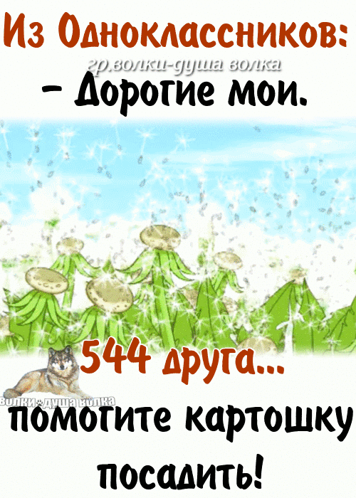 Из Одноклассников Дорогие Мои помогите картошку посадить