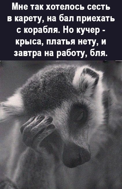 Мне так хотелось сесть в карету на бал приехать с корабля Но кучер крыса платья нету и завтра на работу бля