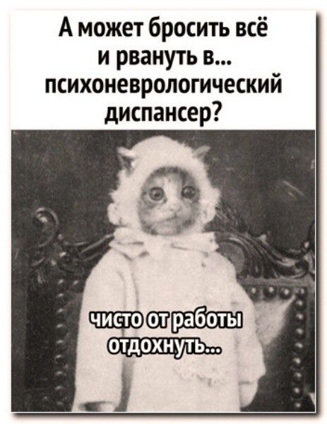 А может бросить всё и рвануть в психоневрологический диспансер чисто 1