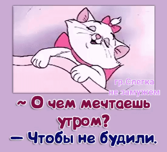 __ мам мечтаешь 9900 _ Чюбы жив будили