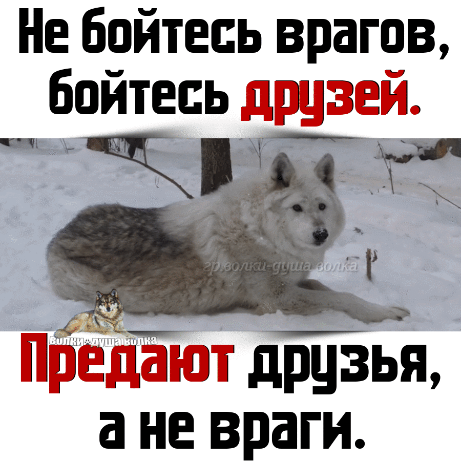 Не бойтесь врагов бойтесь дтп іъ 1дР 3ЬЯ а НЕ враги