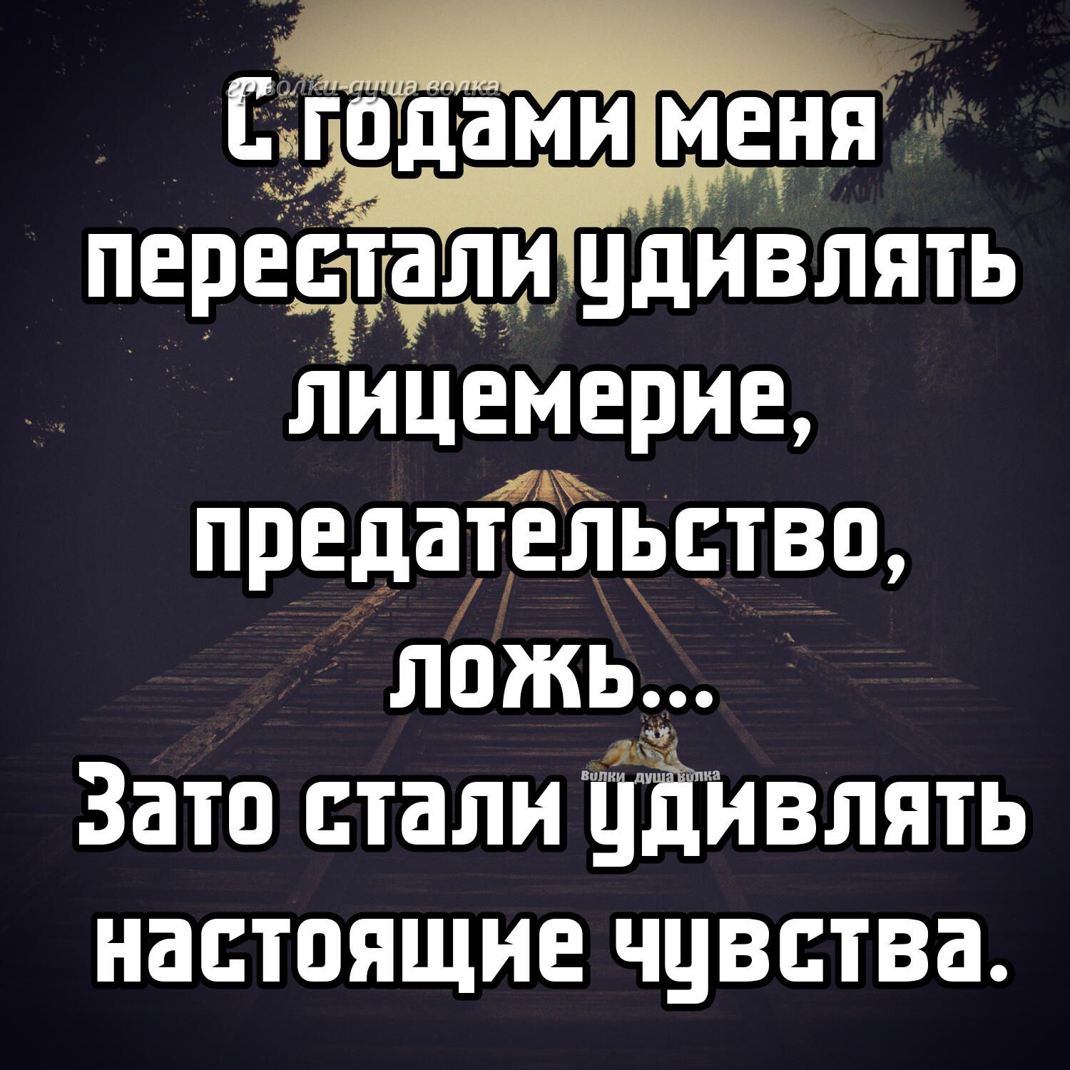 дглицдивлять лицемерие ЦЖ предательство ложь Зато стали ЁЁИвлять настоящие чцвства