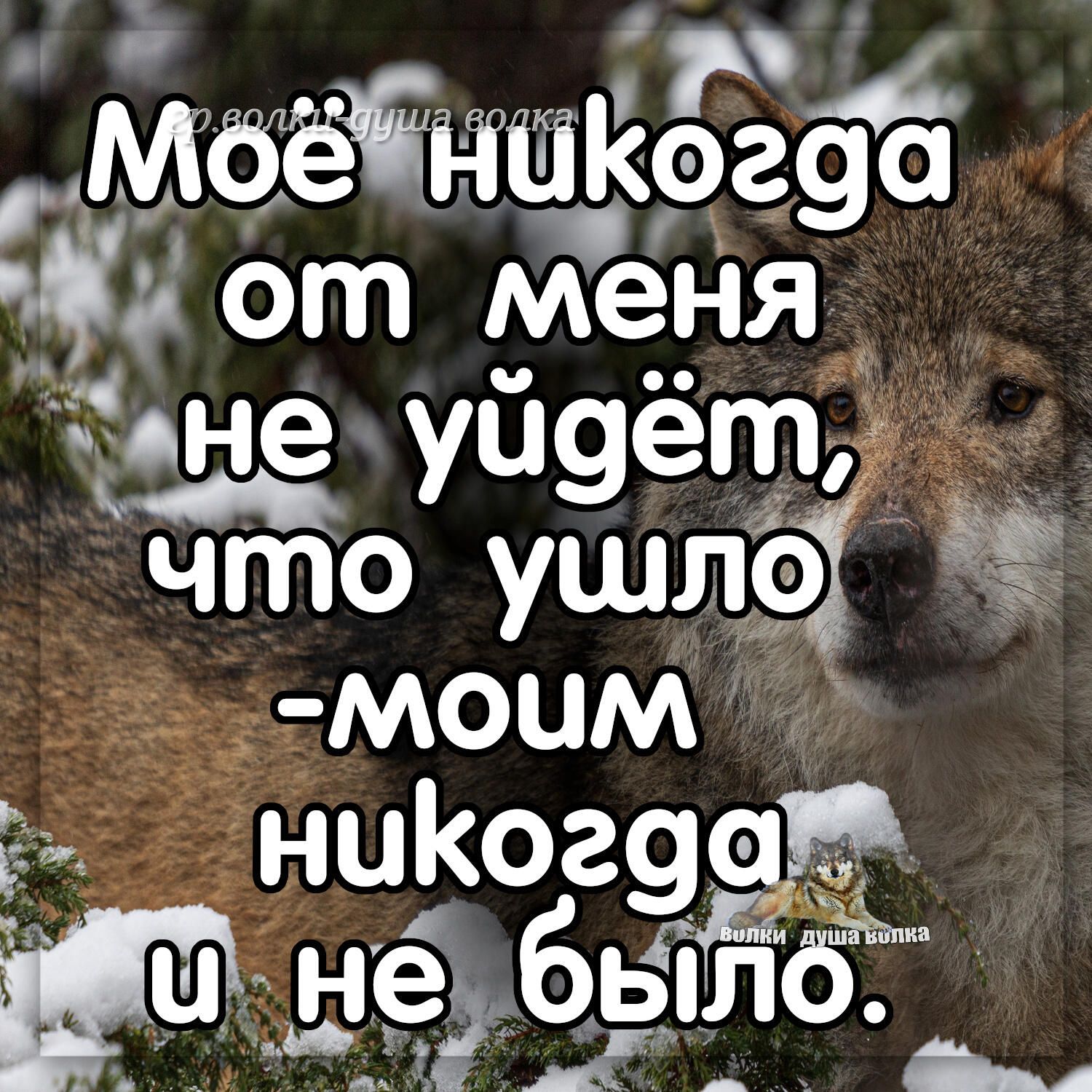 _мбёігтикёгф от меНя не уй9ёт Йо ушЛ9 моим Ё ниКог9 99А не бьілб __