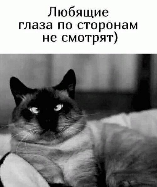 Любящие глаза по сторонам не смотрят