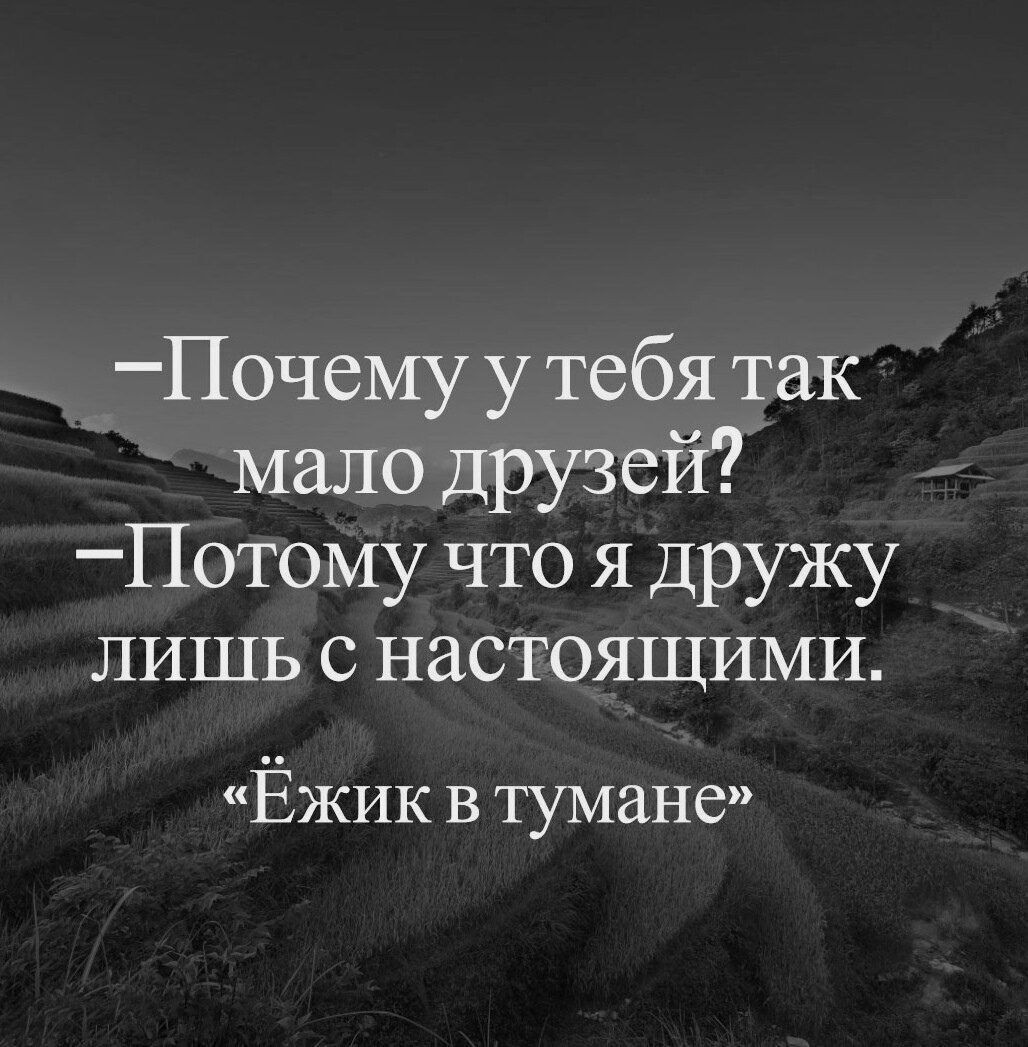 _Почему у тебя так мало друзей Потому что я дружу лишь с настоящими ЁЖИК В ТУМЗНС