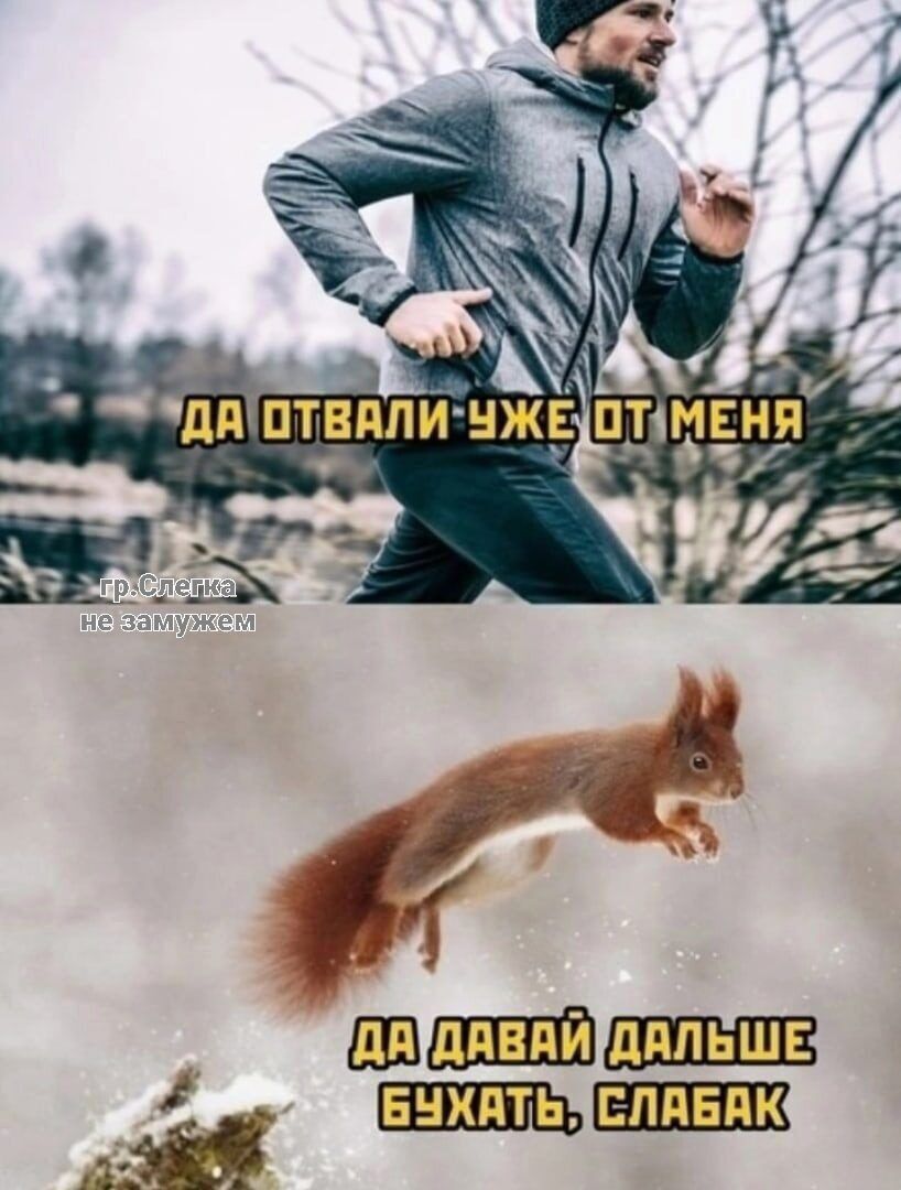 ддіптвдпи нж БШ 253