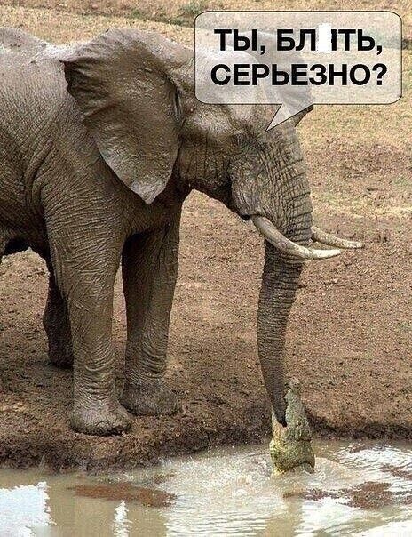 ТЫ БЛ ТЬ СЕРЬЕЗНО ЧЁ