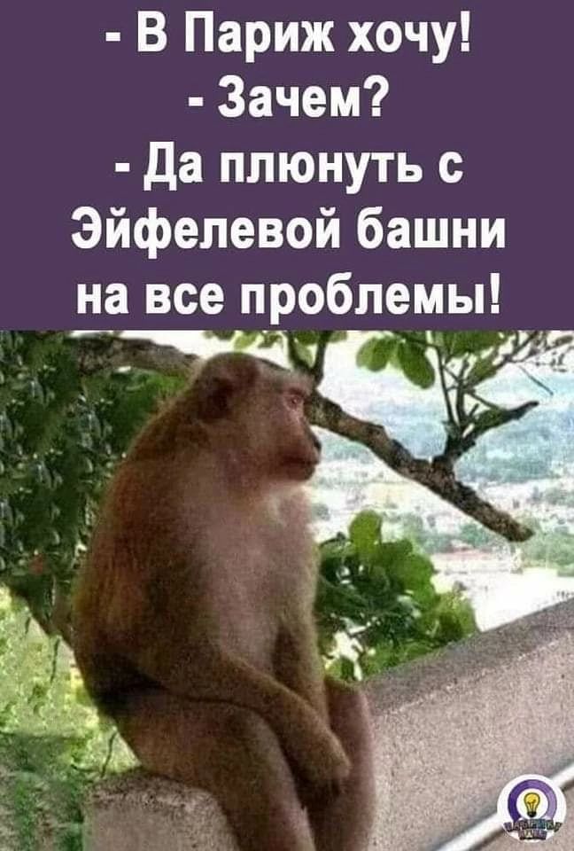 В Париж хочу Зачем да плюнуть Эйфелевой башни на все проблемы