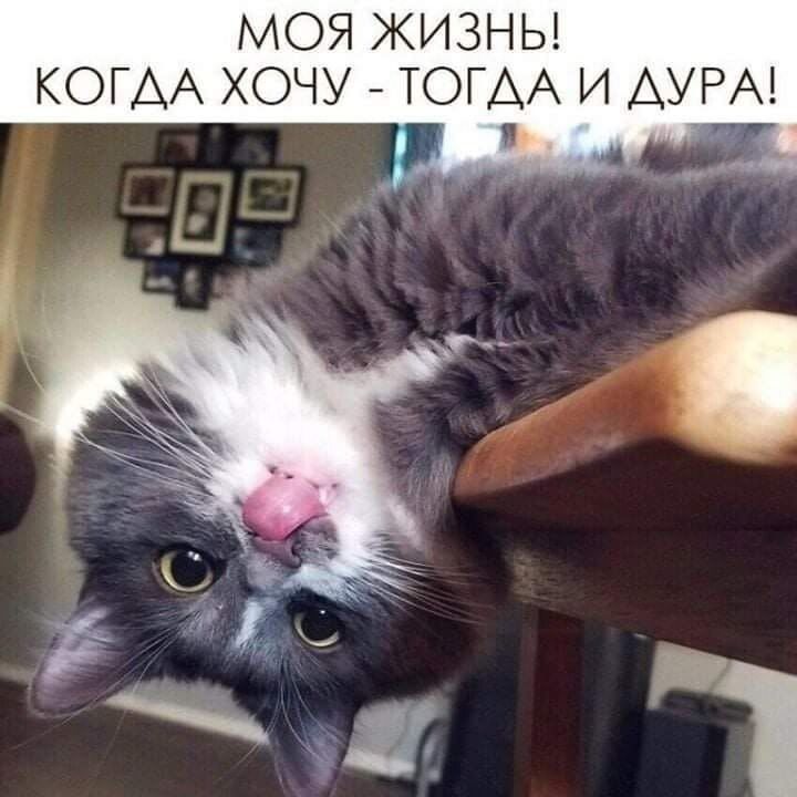 МОЯ ЖИЗНЬ КОГАА ХОЧУ ТОГАА И АУРА и