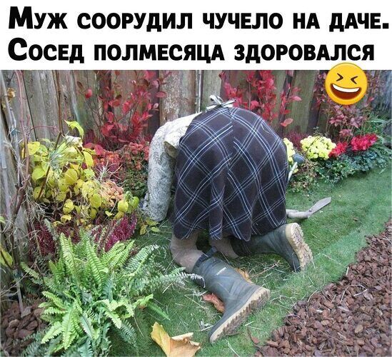 МУЖ СООРУдИЛ ЧУЧЕЛО НА дАЧЕ СОСЕД ПОЛМЕСЯЦА ЗДОРОВШСЯ