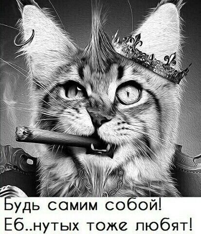 Будь самим собой Ебнутых тоже любят