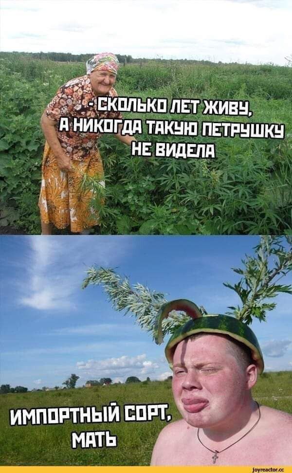 9 П НИ ПГдд ТПКШП ПЕТРНШКН