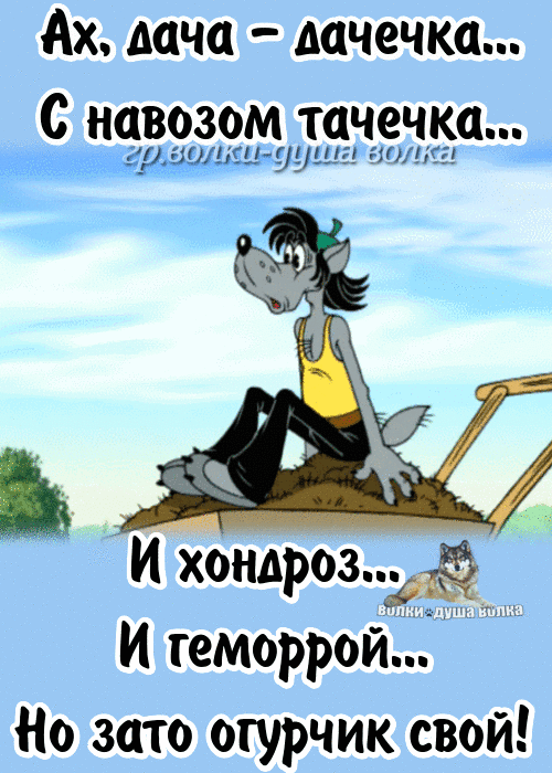 Ах дача мчечка с навозом тачечка худыми ушли циитг И Р 393 И геморрой Но зато огурчик свой