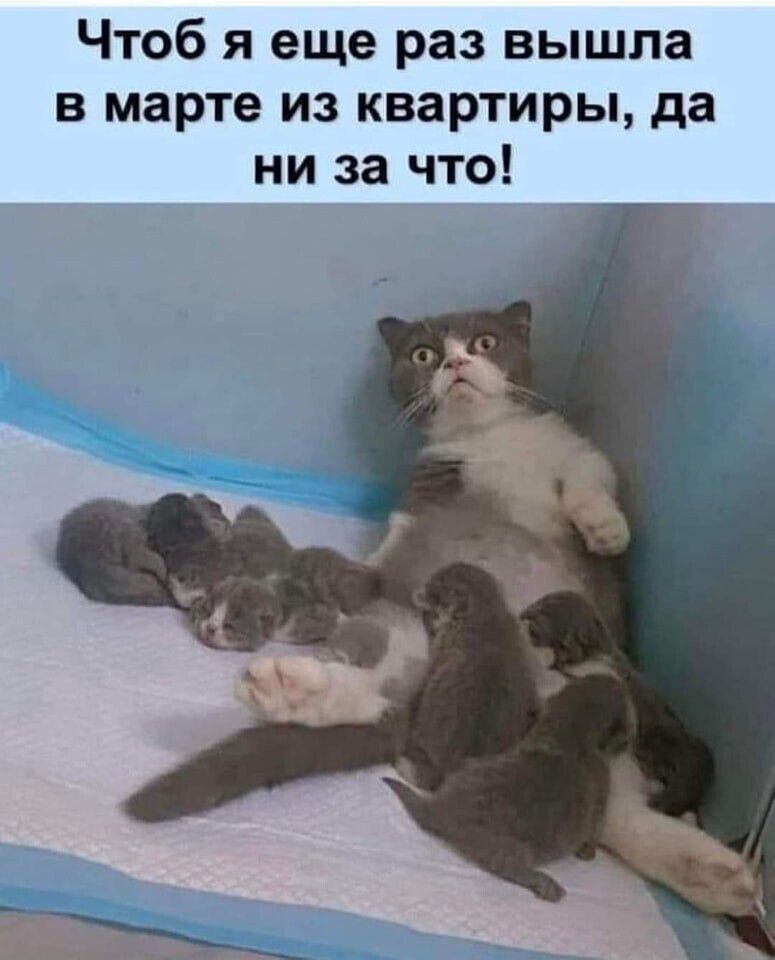 Чтоб я еще раз вышла в марте из квартиры да ни за что