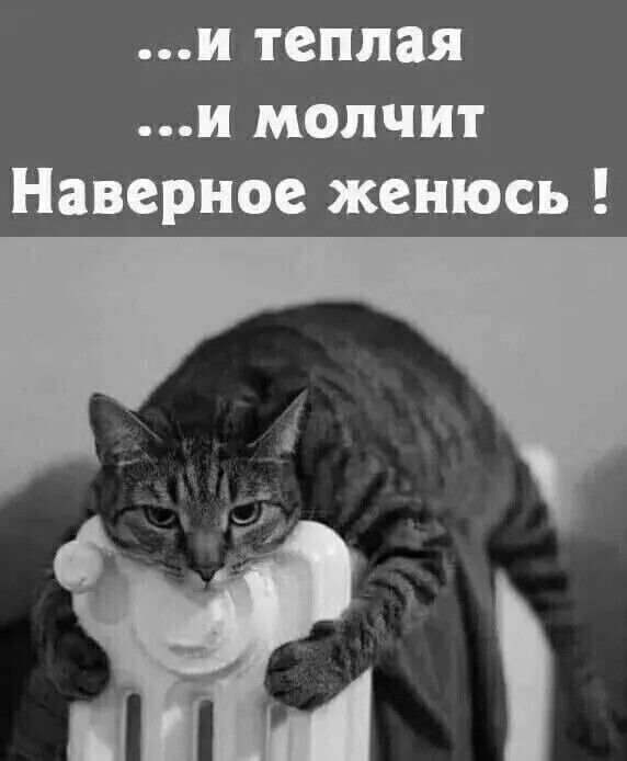 и теплая и молчит Наверное женюсь