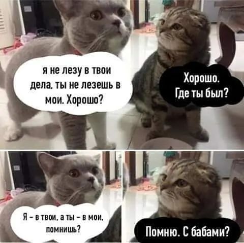 Я не лезу В ТВОИ дела ты не лезешь в мои Хорошо Хпрпшо 11 Где ты бьш Я пвщатчмпи пишиш Ппмииъ С бабаМи