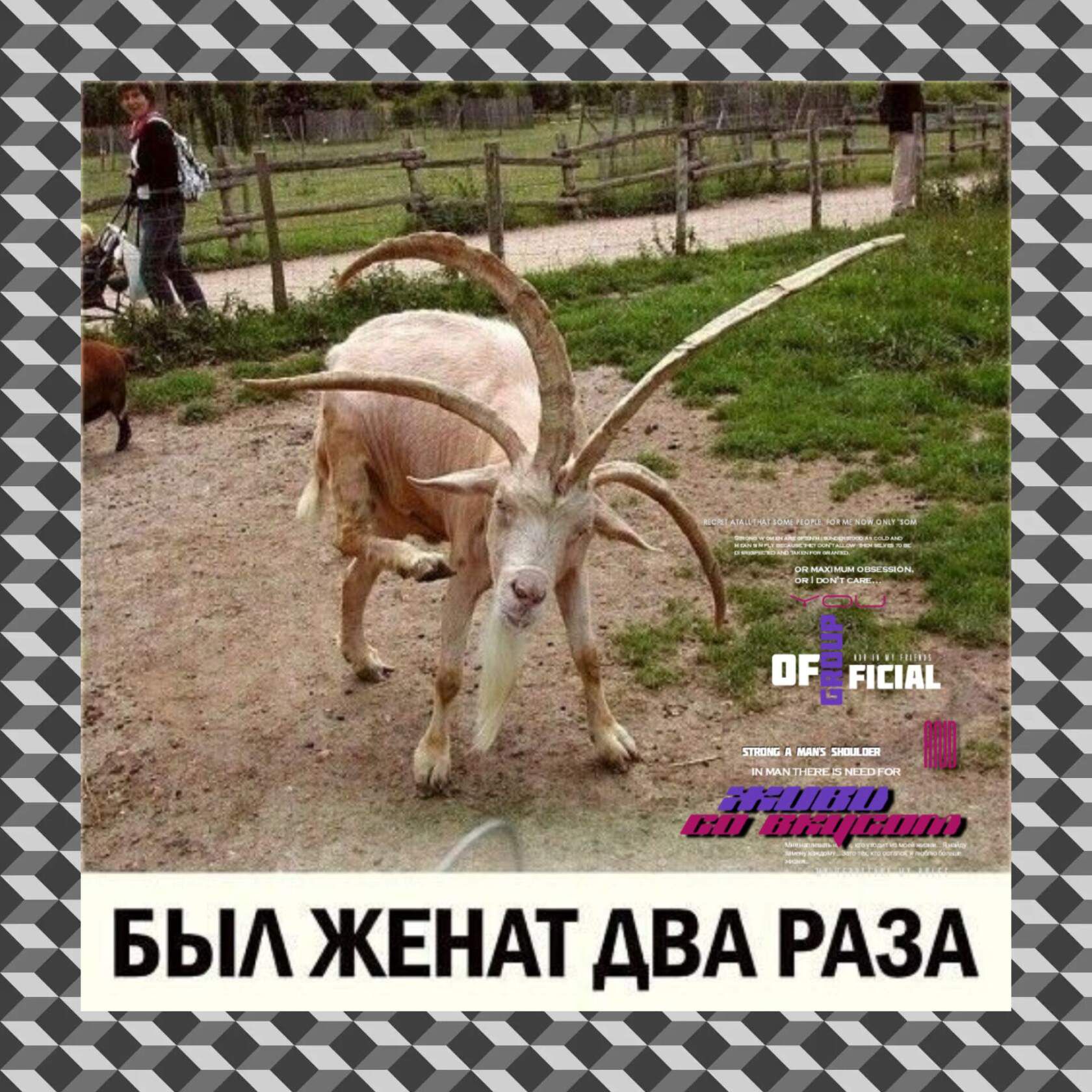 1 БЫА ЖЕНАТ АВА РАЗА ыъг2г