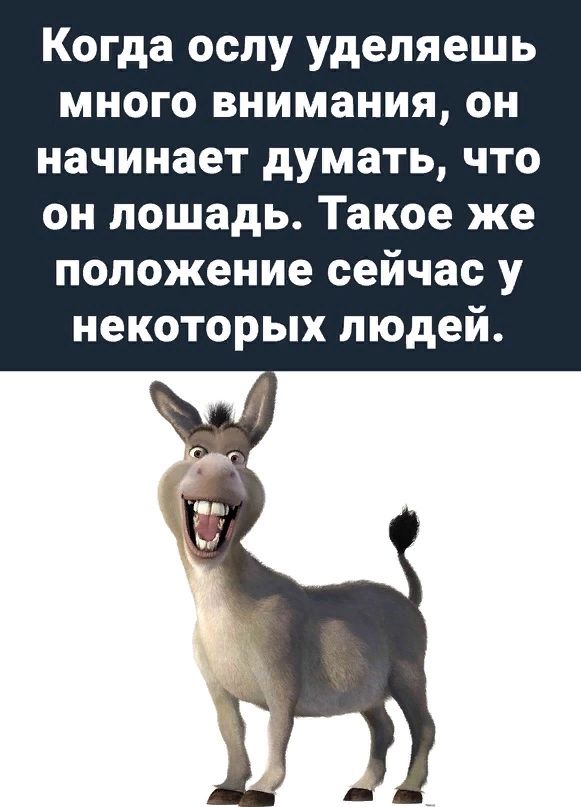Когда ослу уделяешь много внимания он начинает думать что он лошадь Такое же положение сейчас у некоторых людей
