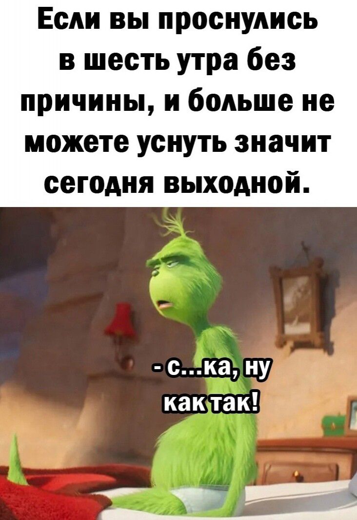 Если ВЫ проснулись в шесть утра без причины и больше не можете уснуть значит сегодня выходной ска ну как так 5