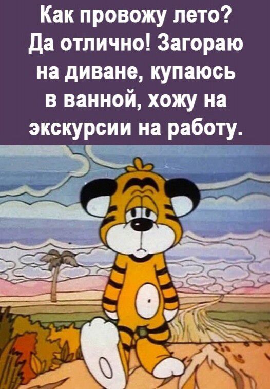 Как провожу лето да отлично Загораю на диване купаюсь в ванной хожу на экскурсии на работу