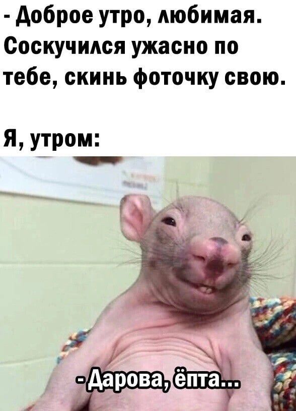 доброе утро любимая Соскучидся ужасно по тебе скинь фоточку свою