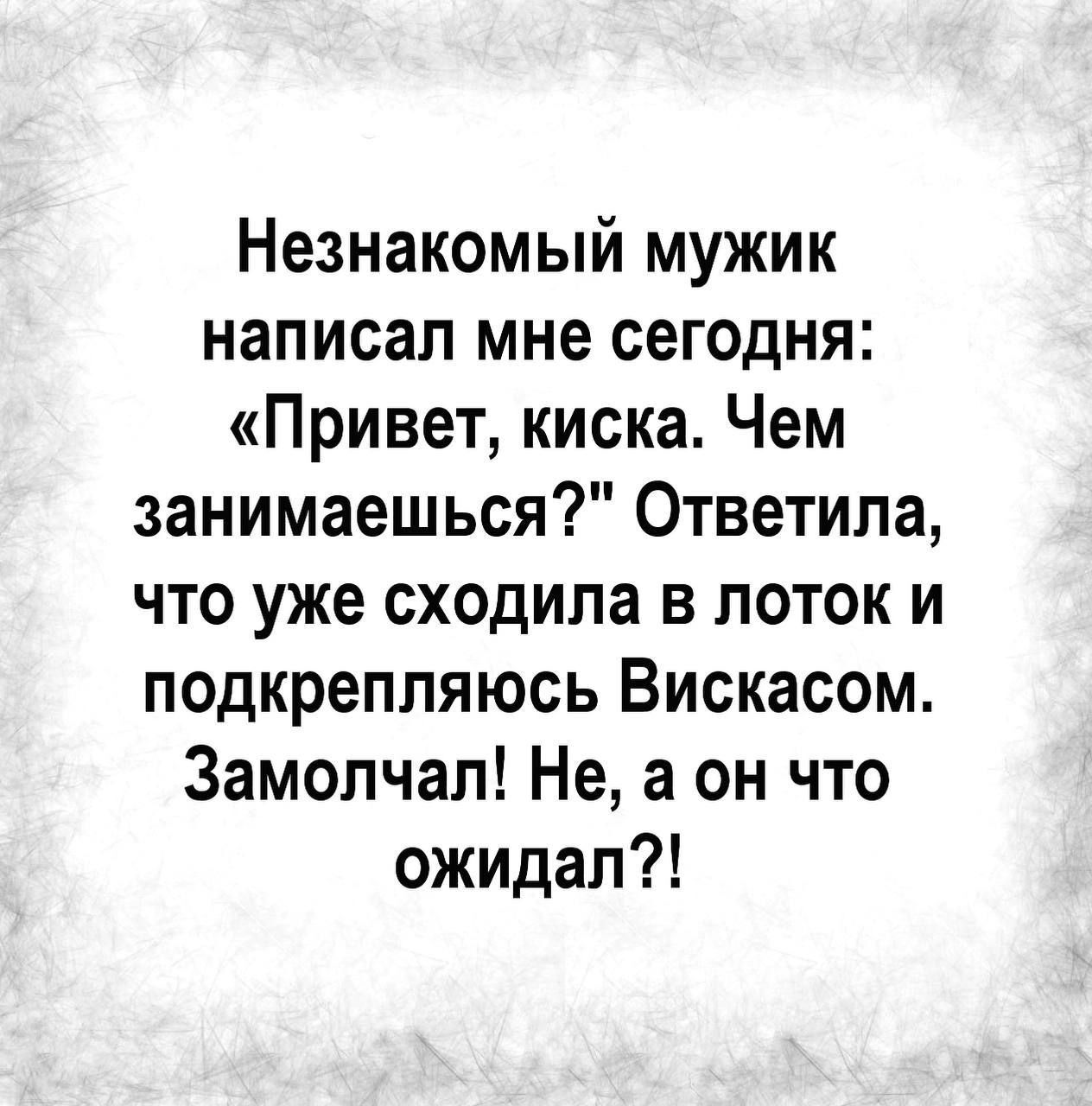 Незнакомый мужик написал мне сегодня Привет киска Чем занимаешься Ответила что уже сходила в поток и подкрепляюсь Вискасом Замолчап Не а он что ожидал