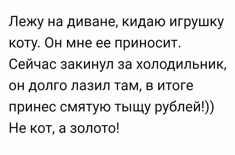 Лежу на диване кидаю игрушку коту Он мне ее приносит Сейчас закинул за холодильник он долго лазил там в итоге принес смятую тыщу рублей Не кот а золото
