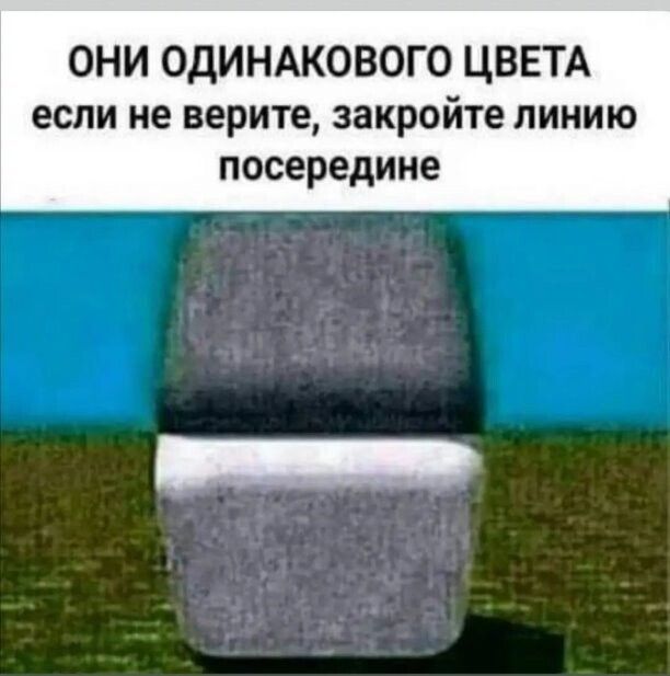 ОНИ ОДИНАКОВОГО ЦВЕТА если не верите закройте линию посередине