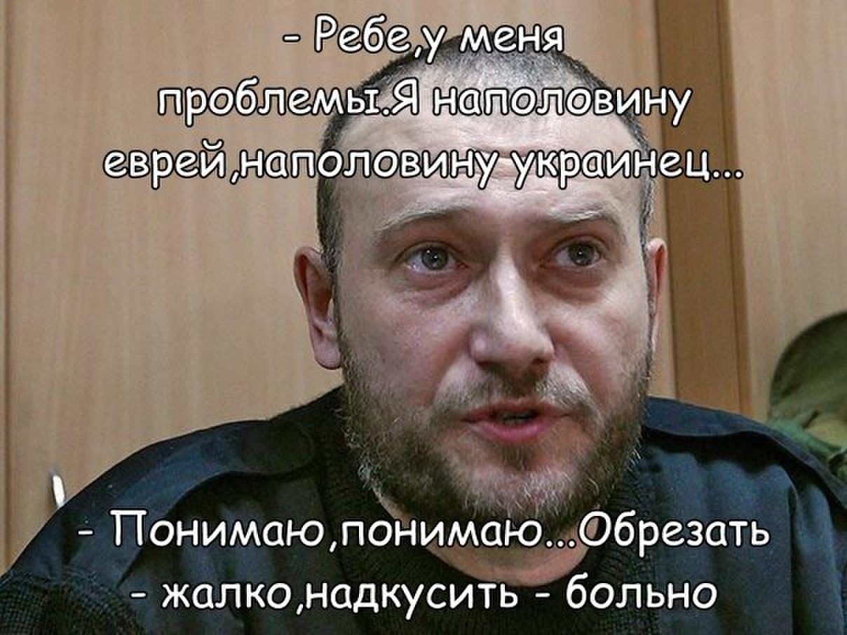ы Понимаюлонима брезать жалконцдкусить бОЛЬНО