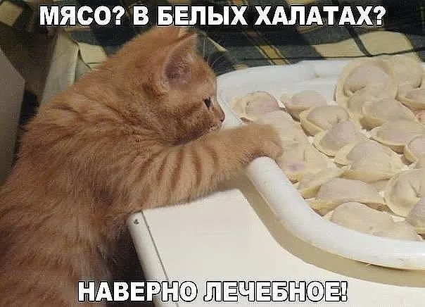 МЯСО В БЕЛЫХ ХАЛАТАХ_