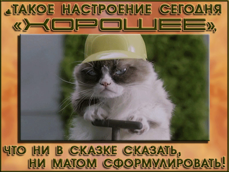 ЧТО НИ В НИ МАТО