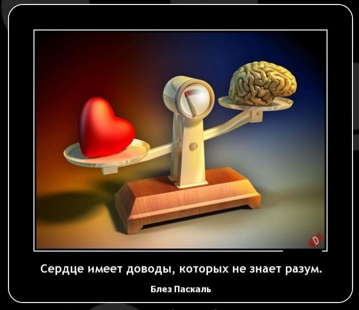 Сердце имен двиды иыорых не виде рпум пшли